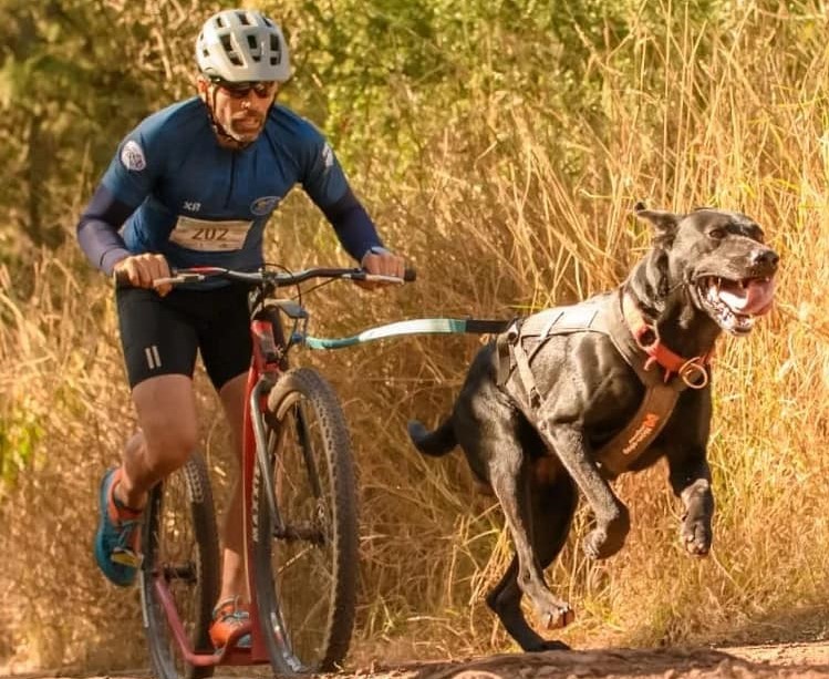 Deportistas de Mushing quieren llegar al Mundial 2025