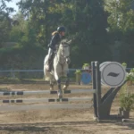 Llega el Torneo Aniversario 139º de Hipismo del Jockey Club Córdoba