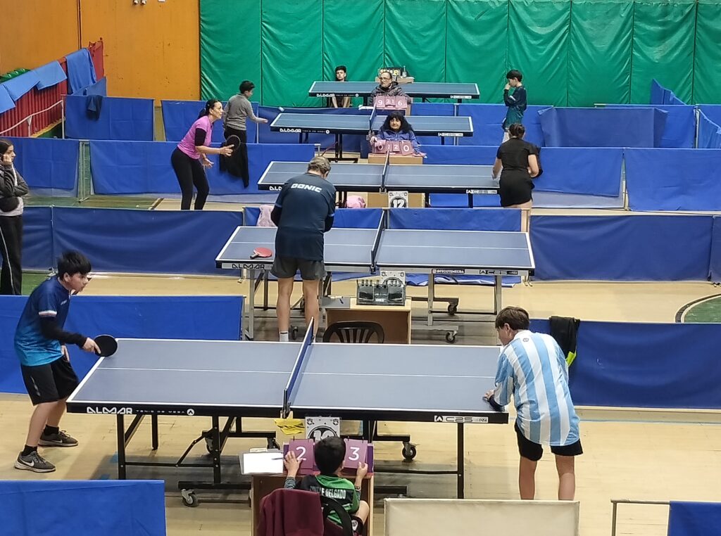 En el Polideportivo Carlos Cerutti se realizó el Cuarto Provincial de Fecoteme