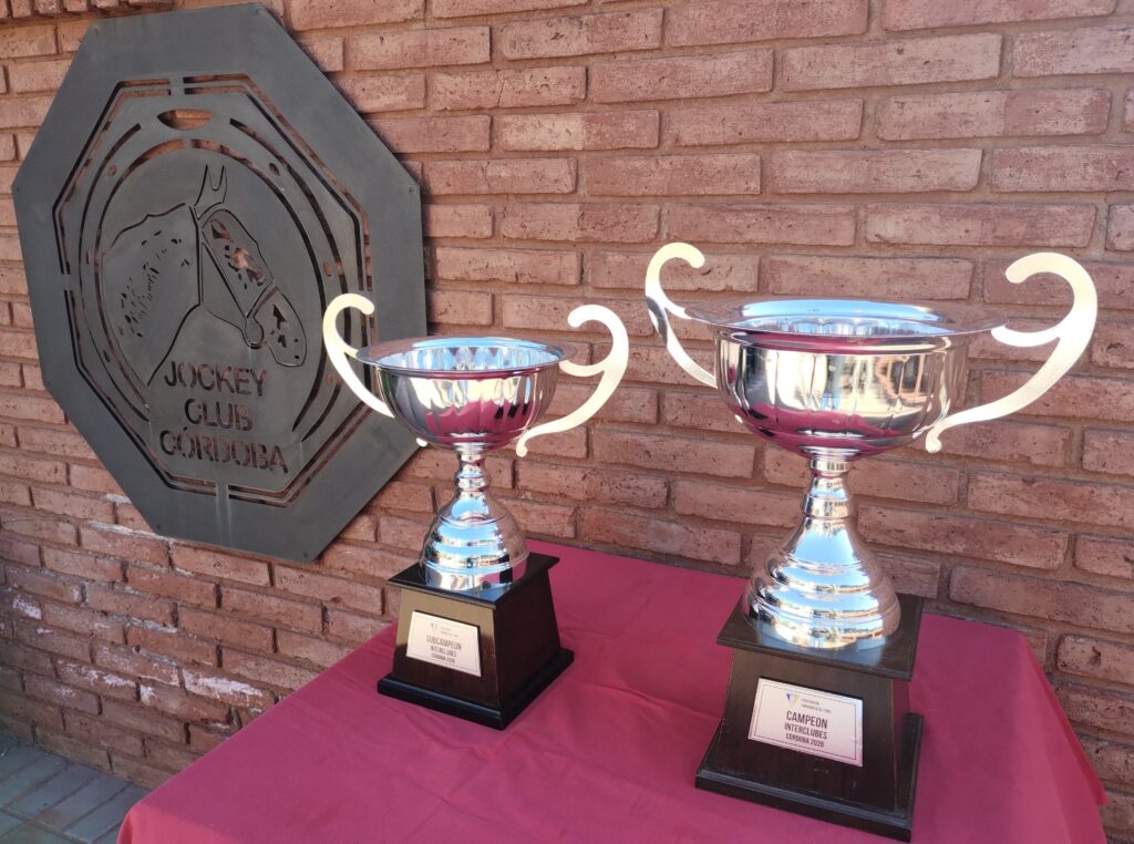 Finalizó el Interclubes Córdoba de Tenis 2026